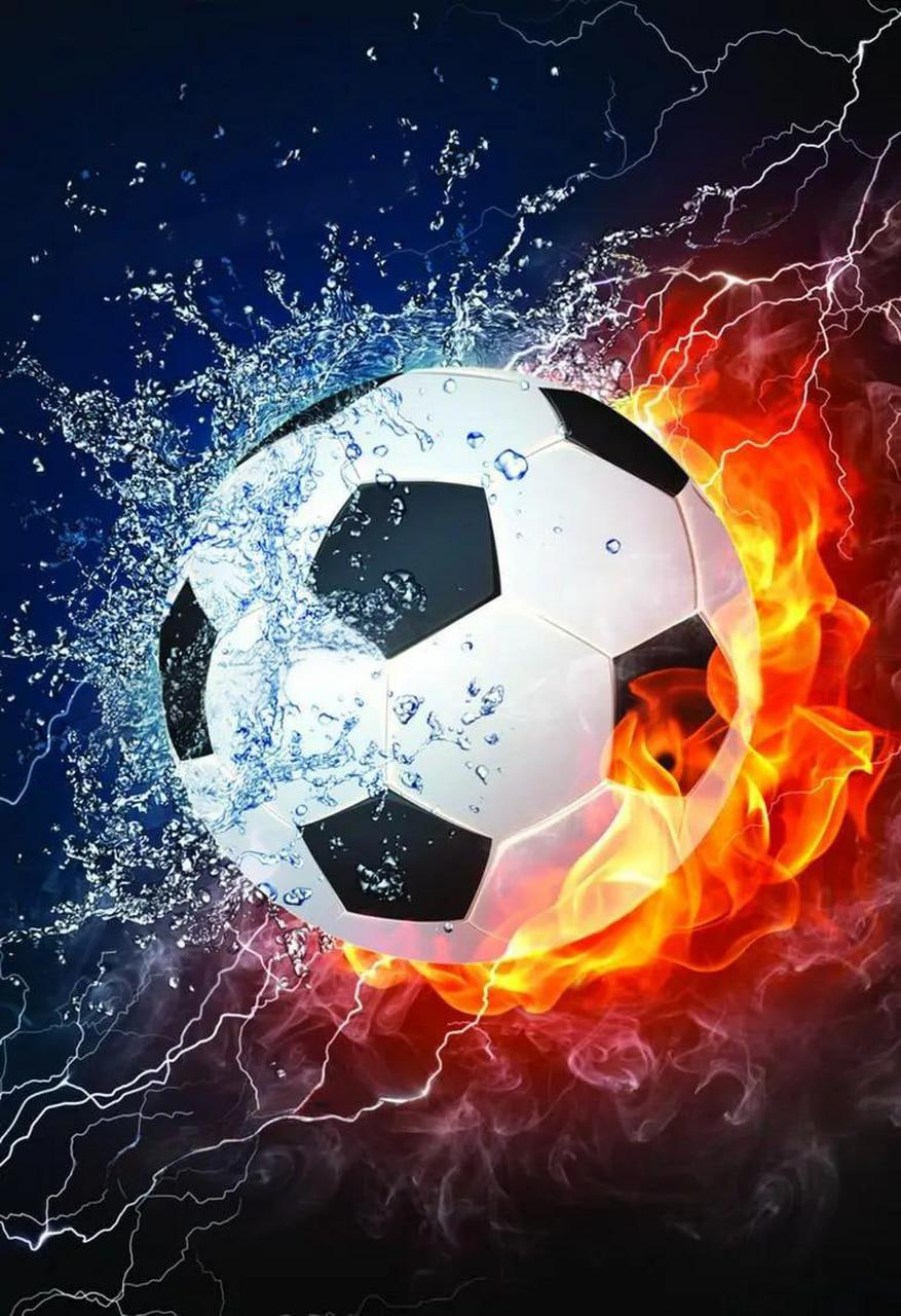 新手彩民入门学习